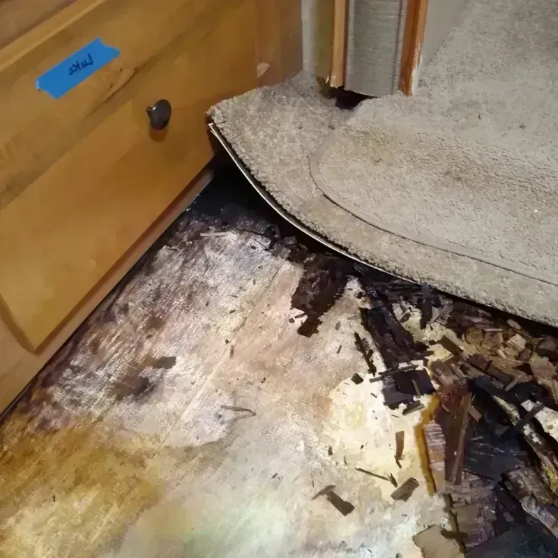 Wood Floor Water Damage in Mount Pleasant, PA